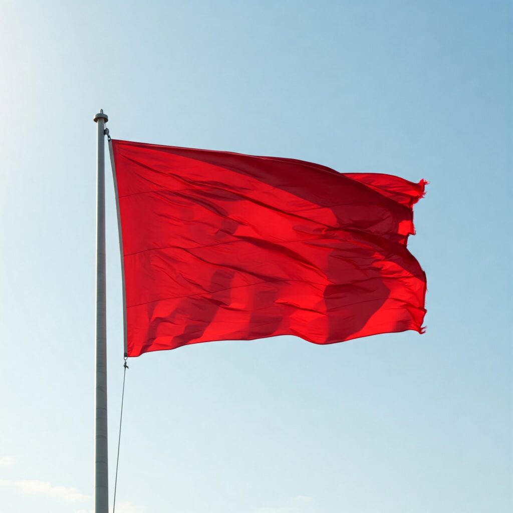 11 red flags